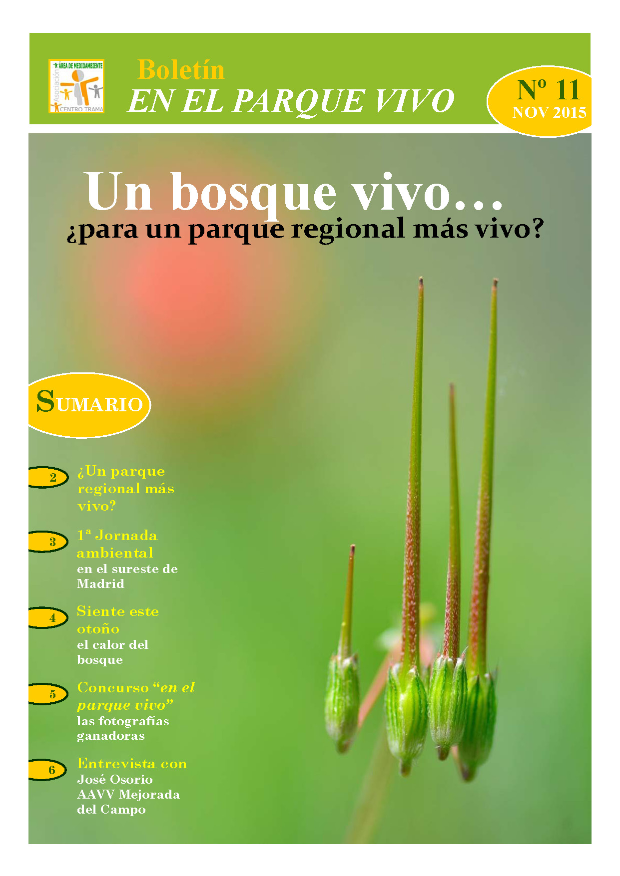 Boletín 11
