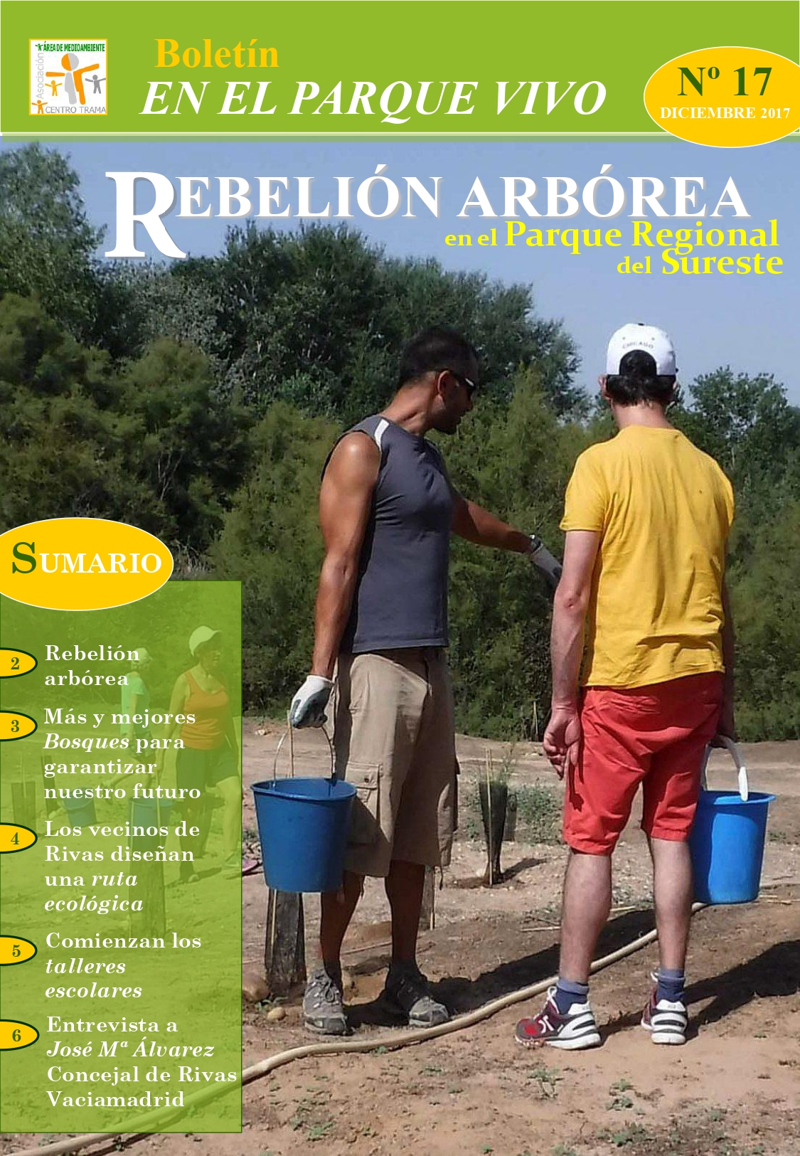 Boletín 17