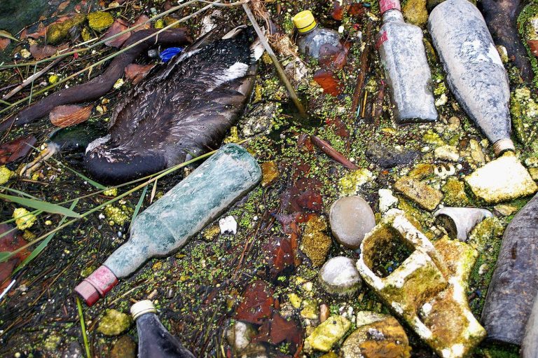 Contaminación Ríos Madrid Huffington Post