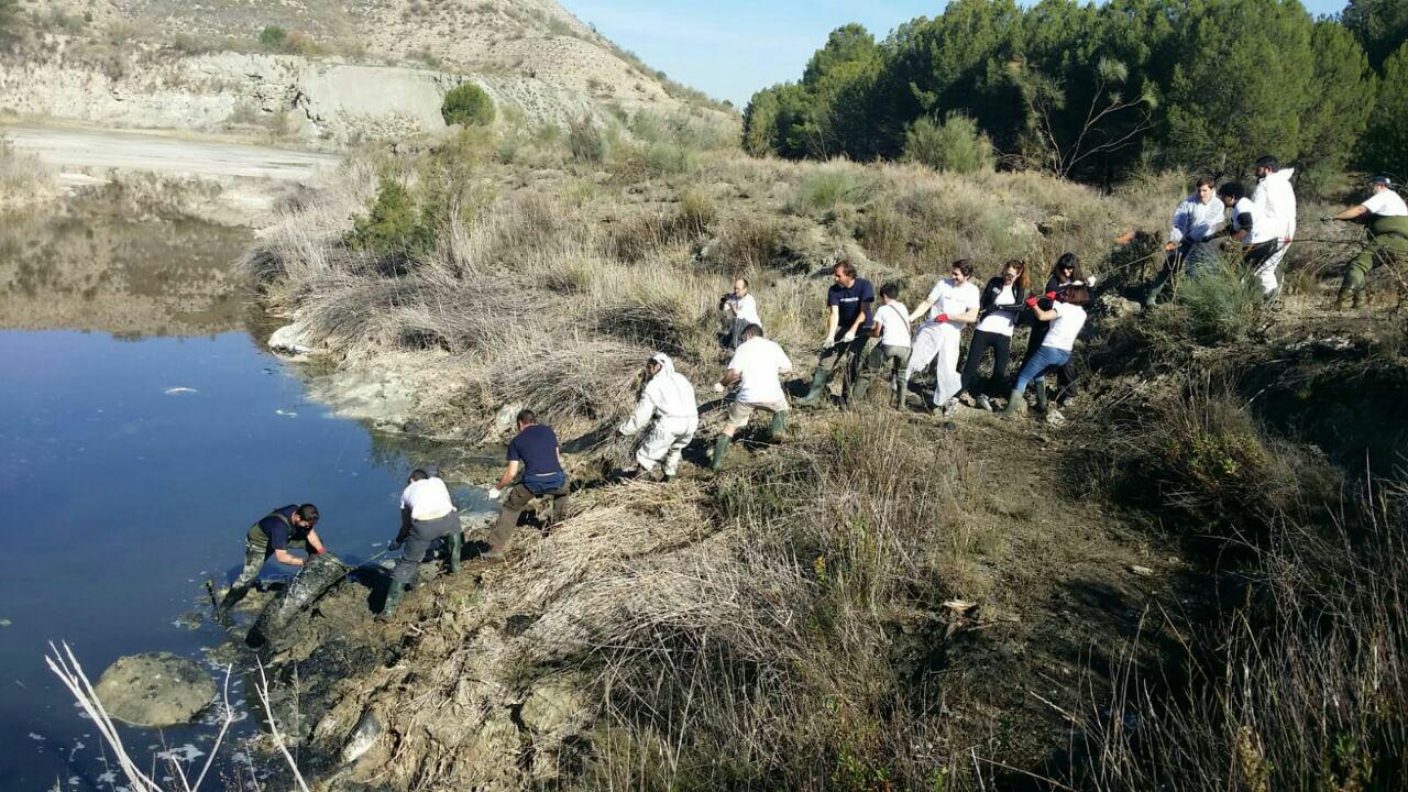 Voluntarios realizando limpieza de residuos en la ribera del río Jarama